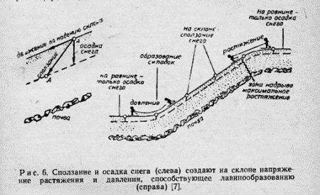 Тайна аварии Дятлова