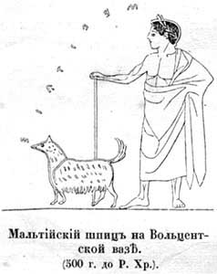 Наши домашнiя животныя. Собаки