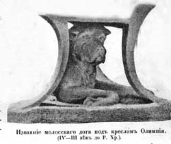 Наши домашнiя животныя. Собаки