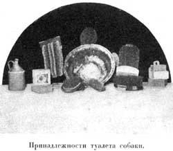 Наши домашнiя животныя. Собаки