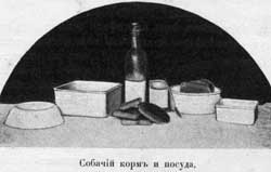 Наши домашнiя животныя. Собаки