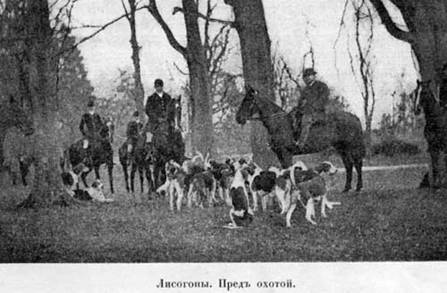 Наши домашнiя животныя. Собаки