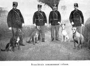 Наши домашнiя животныя. Собаки
