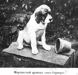 Наши домашнiя животныя. Собаки