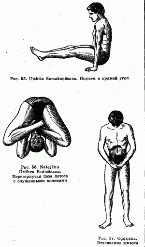 Йога для красоты, здоровья и долголетия