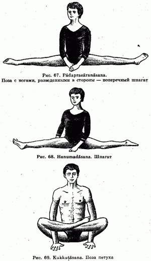 Йога для красоты, здоровья и долголетия